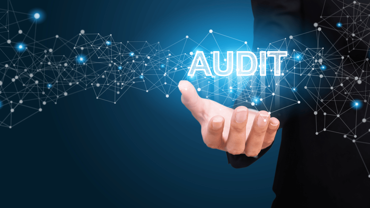 audit-entreprise-optimisation-gestion-hybex